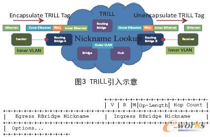 TRILL报头格式